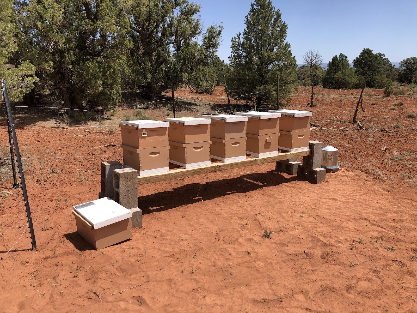 Beedaddy Apiaries - Image 1