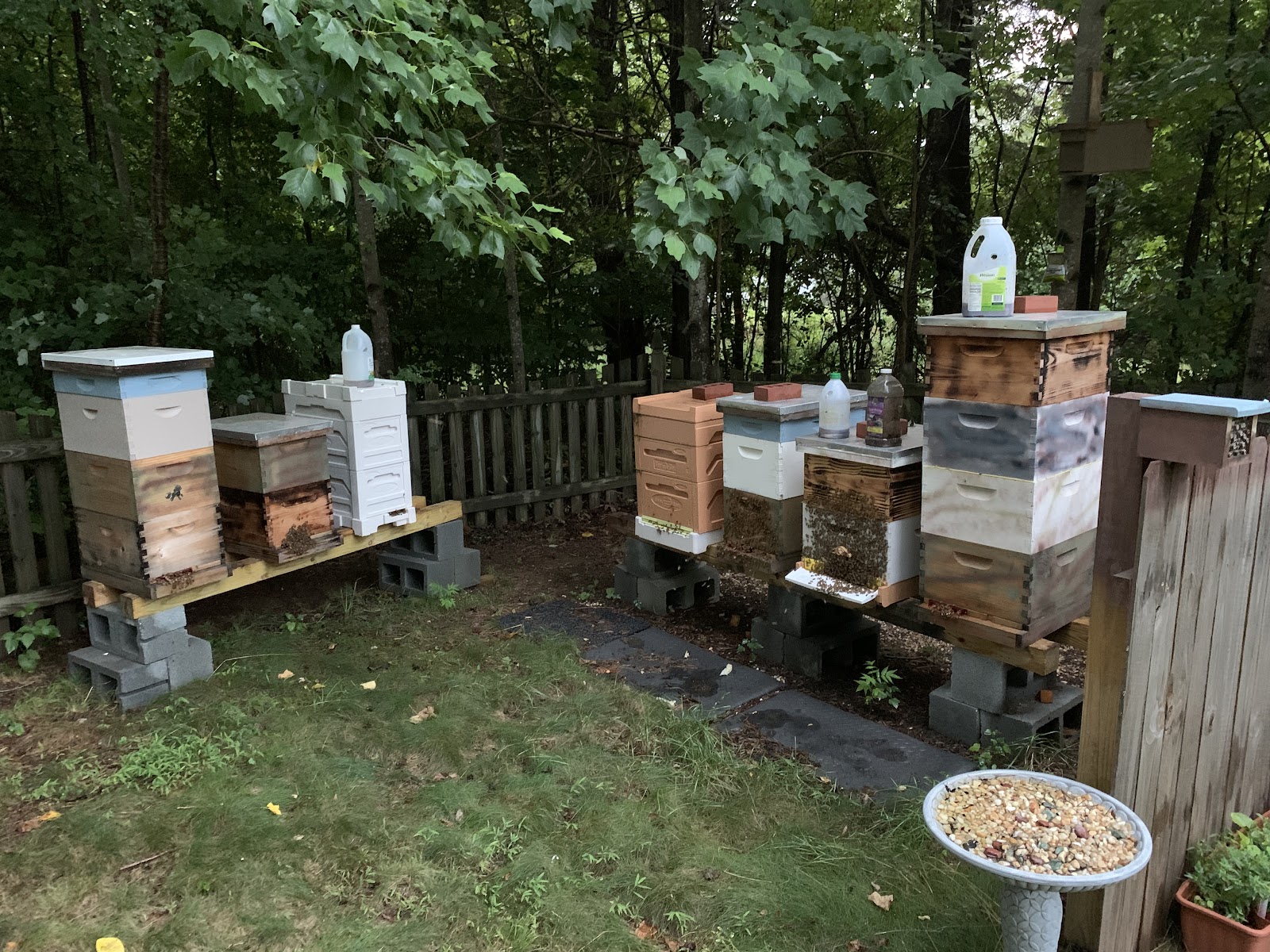 BubbaBee's Apiary - Image 1