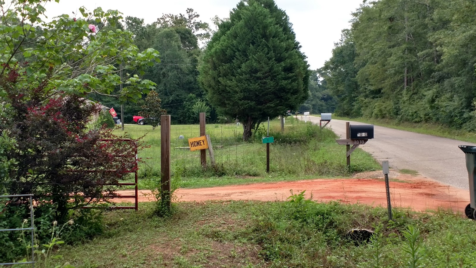 C & C Honey Farm - Image 1