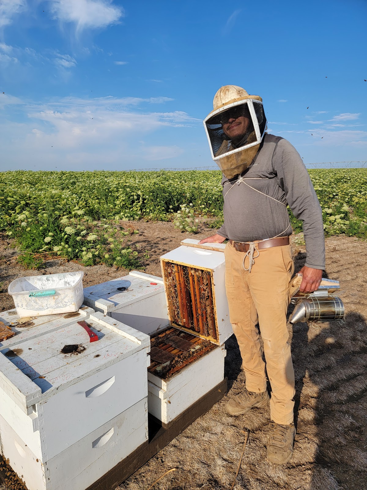 Can Am Apiaries Inc. - Image 1