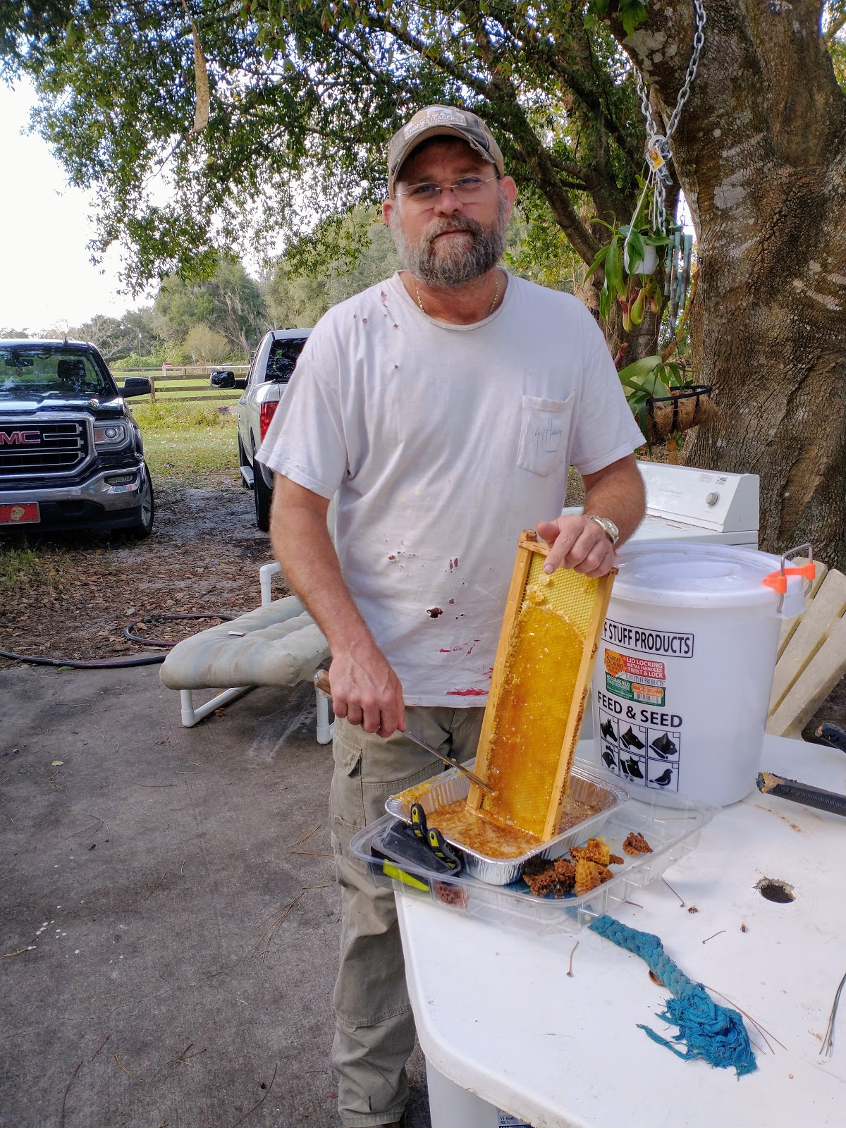 D & J Apiary Inc - Image 1