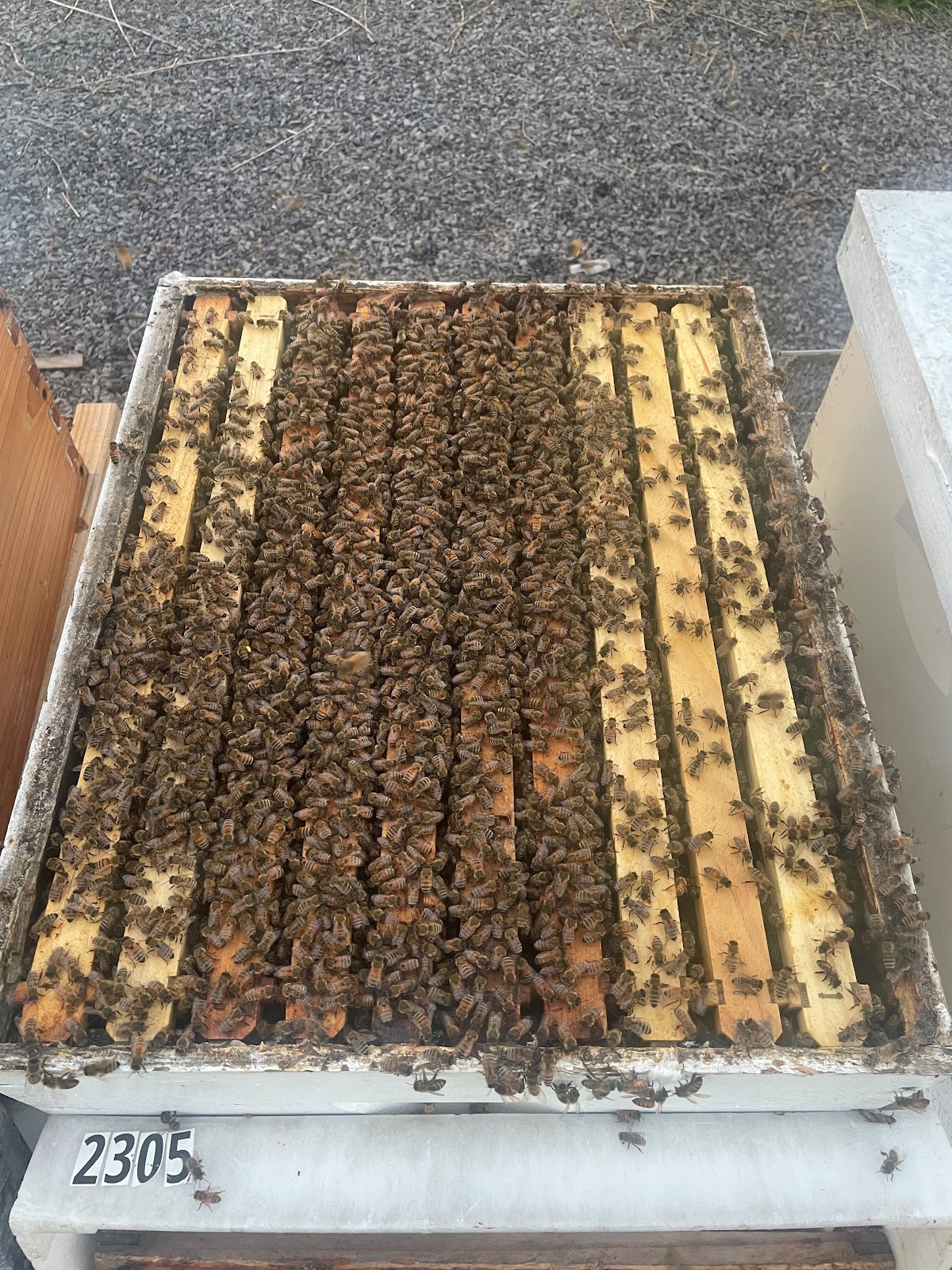 Allums Farms and Apiary, LLC - Image 1