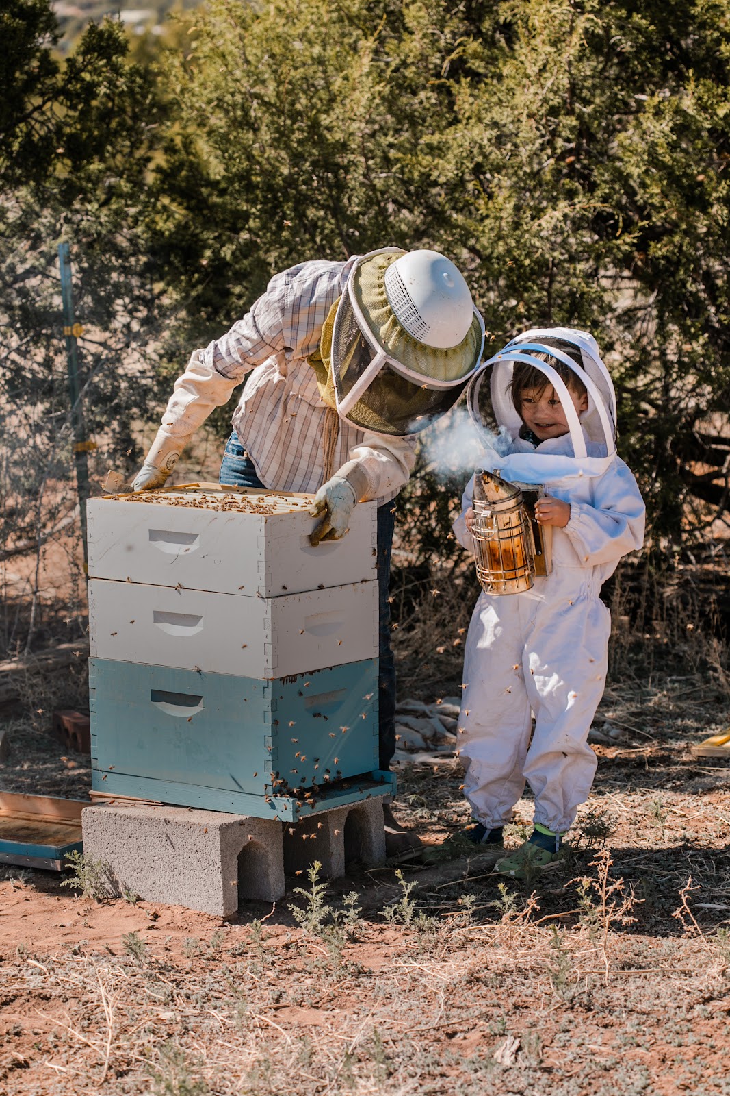 Desert Hives - Image 1