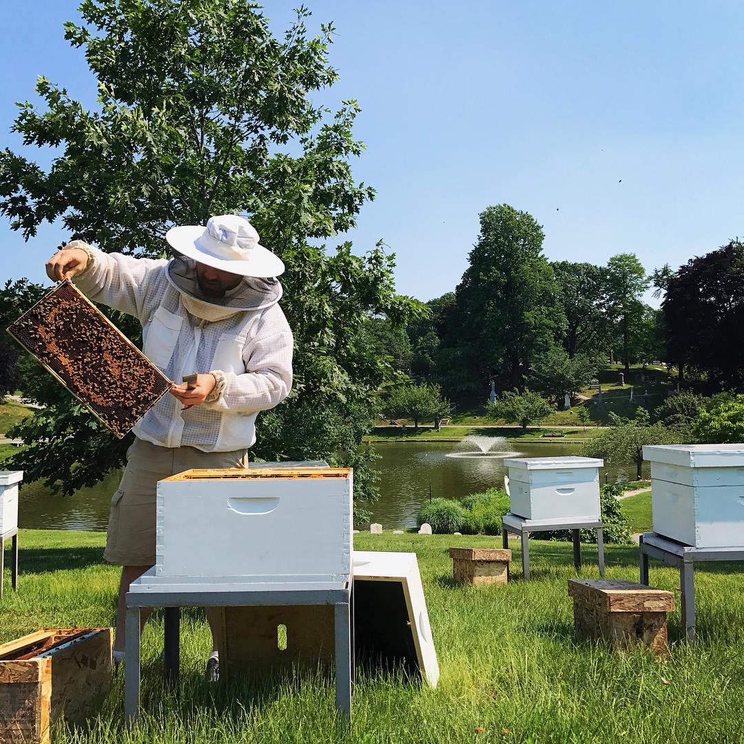 The Honey House at Astor Apiaries - Image 1