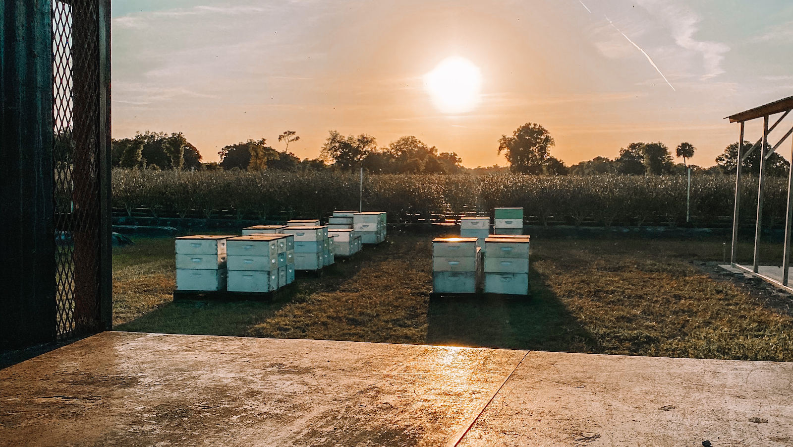 Corley Bee Co - Image 1