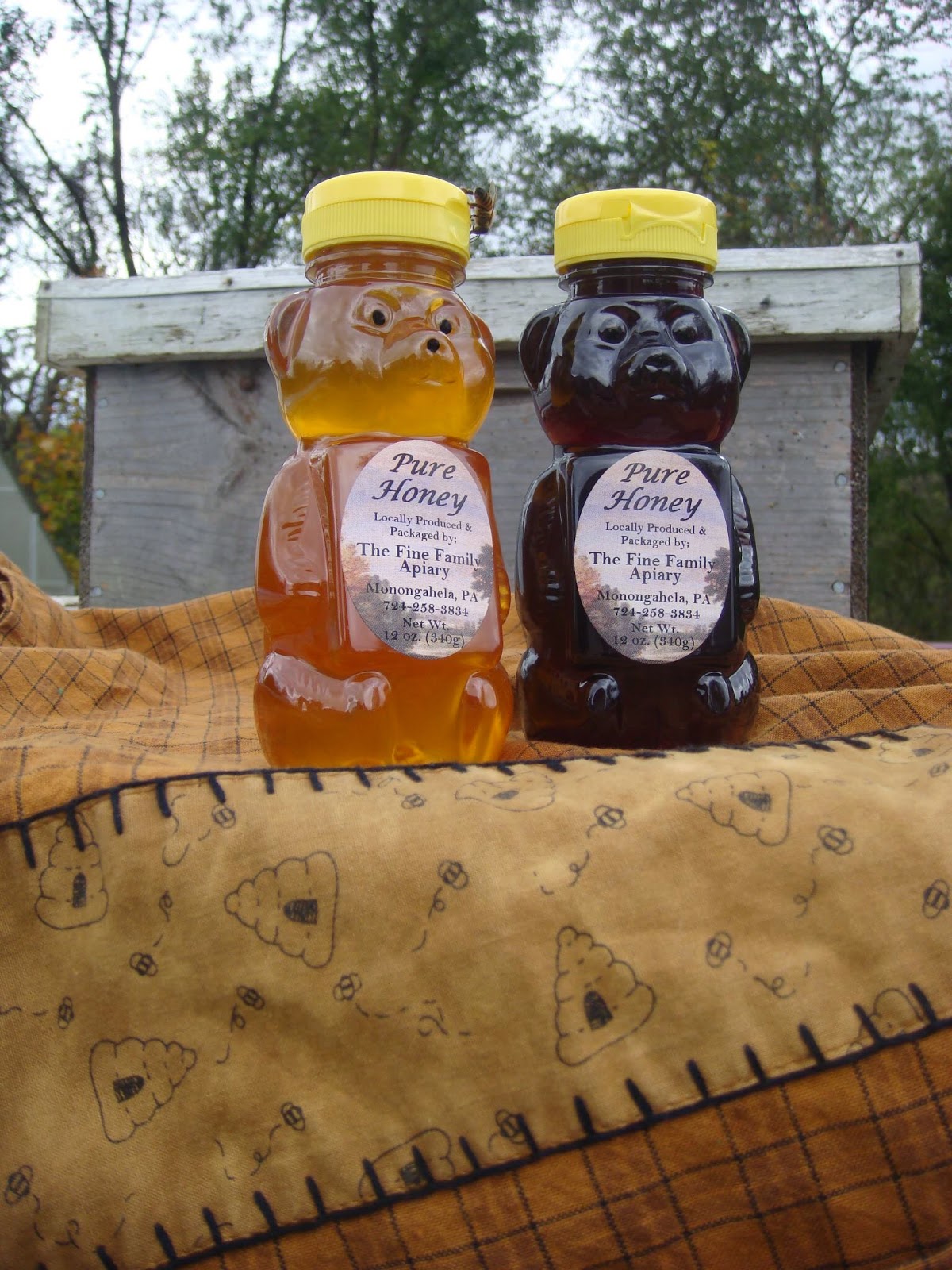 Fine Family Apiary, LLC - Image 1