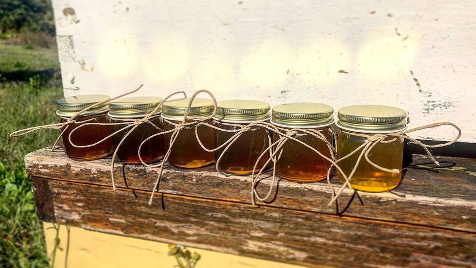 Five Hives Apiary - Image 1