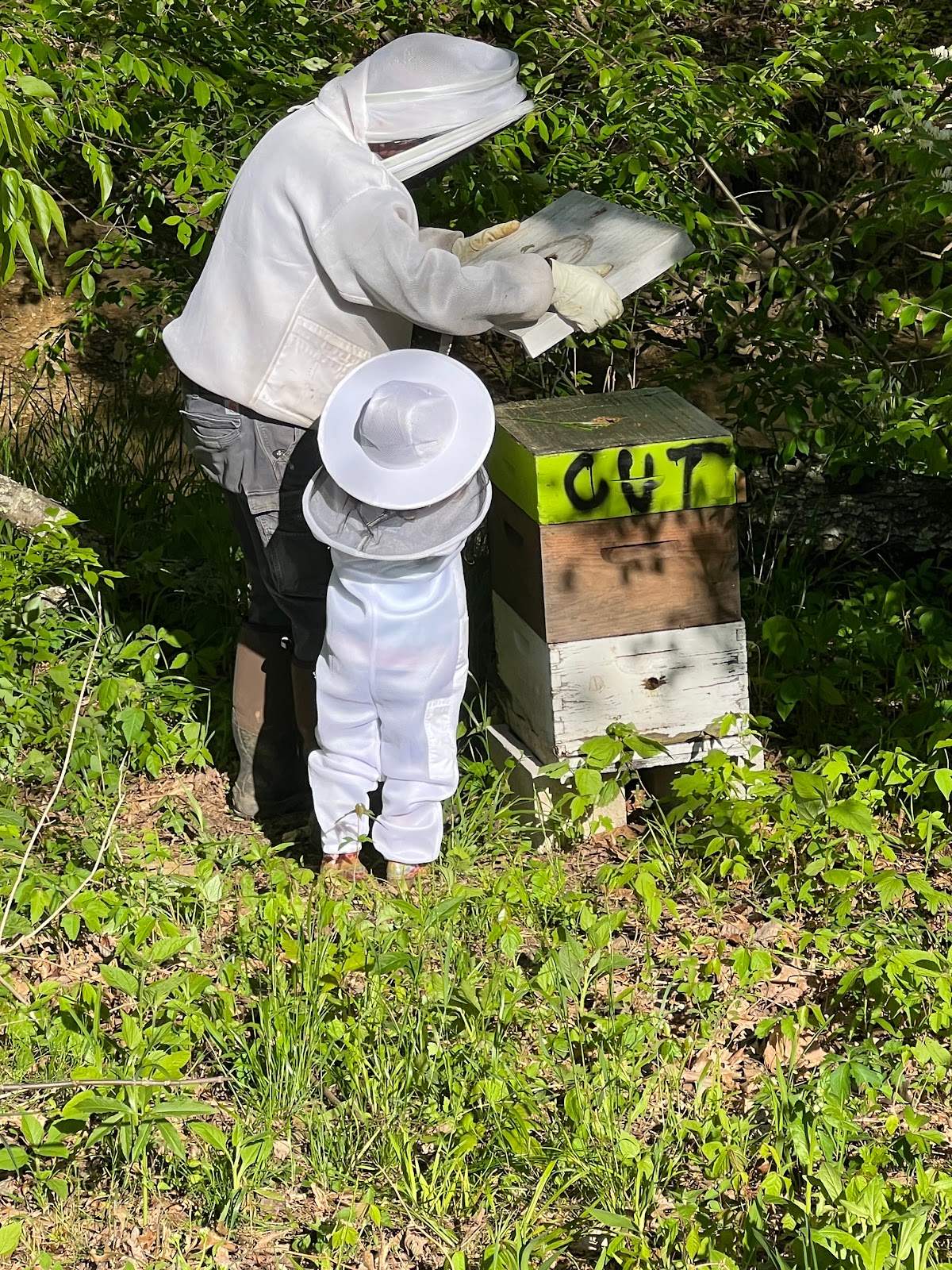Flat Bend Apiary - Image 1