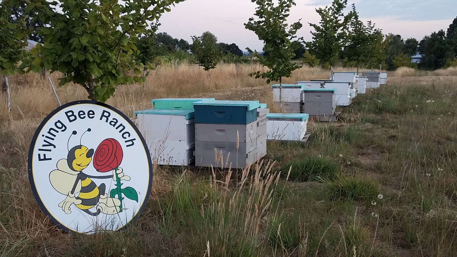 Flying Bee Ranch - Image 1