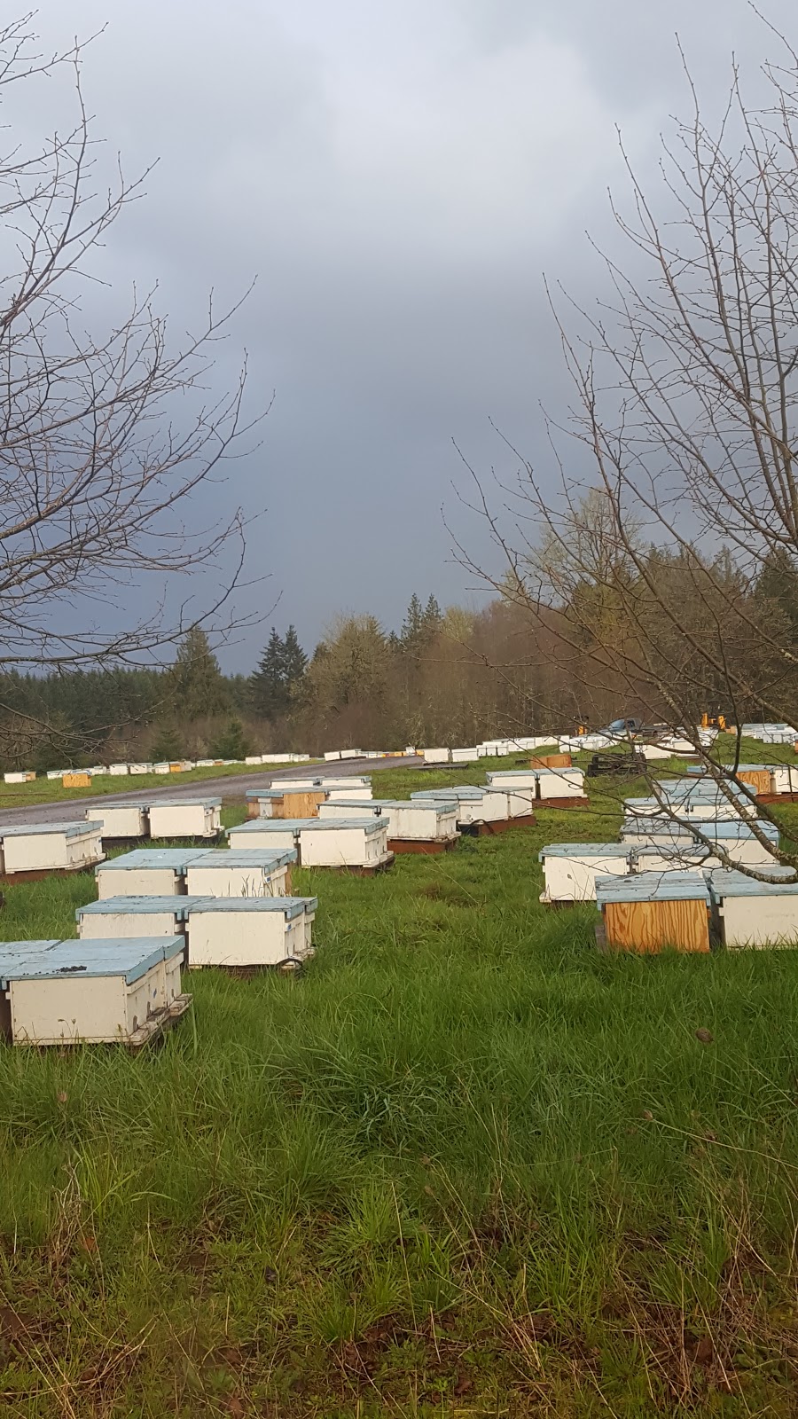 Foothills Honey Co LLC - Image 1