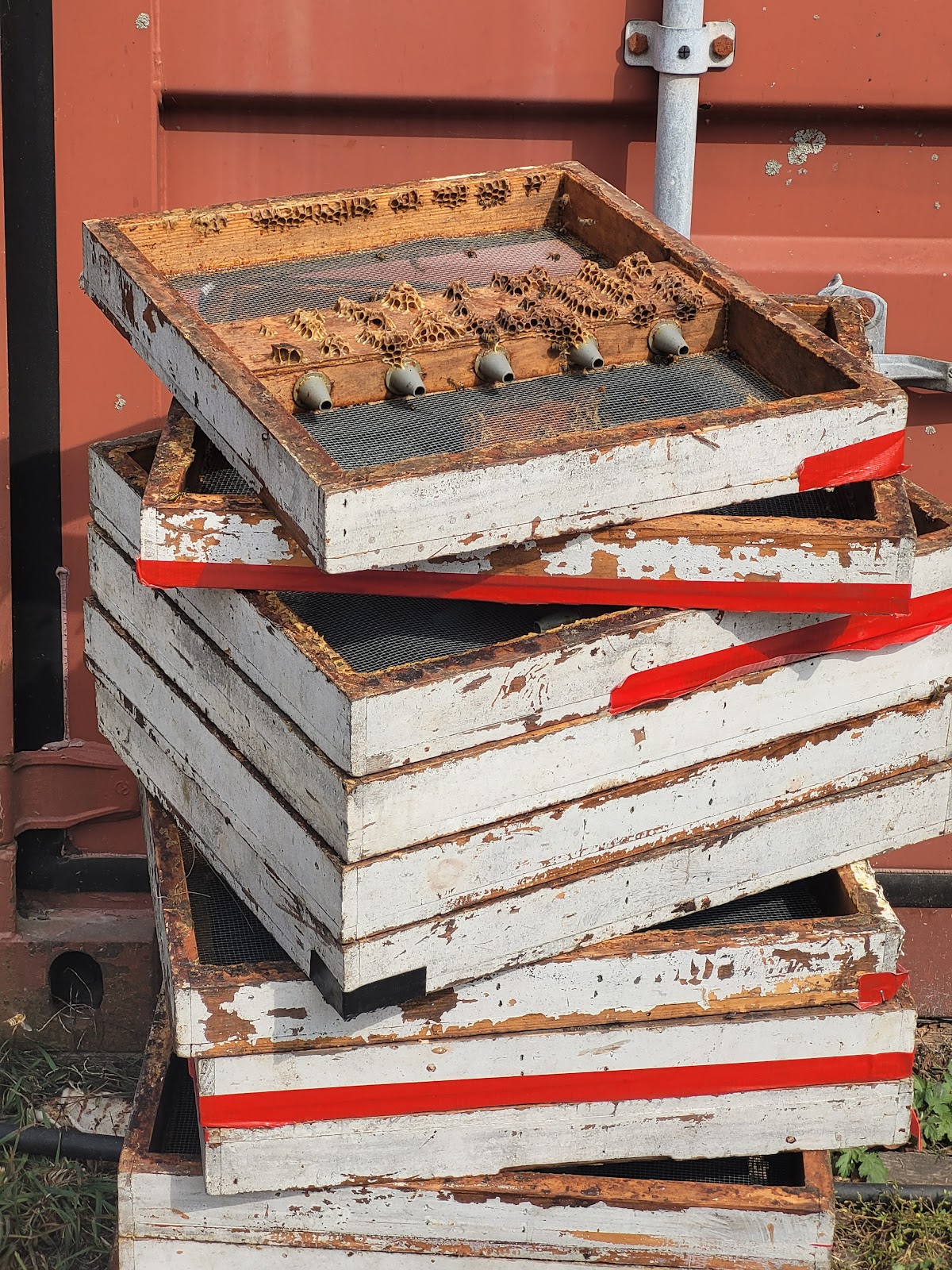 Full Bloom Apiaries - Image 1