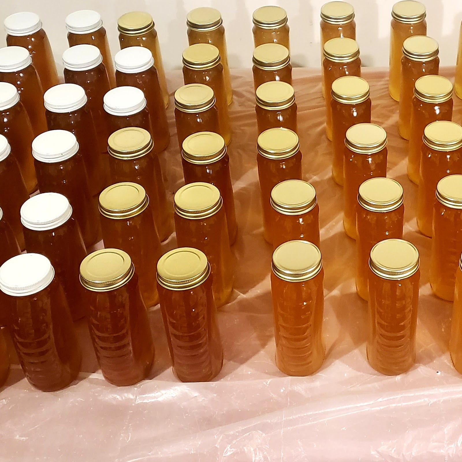 Gannons Garden Apiary - Image 1