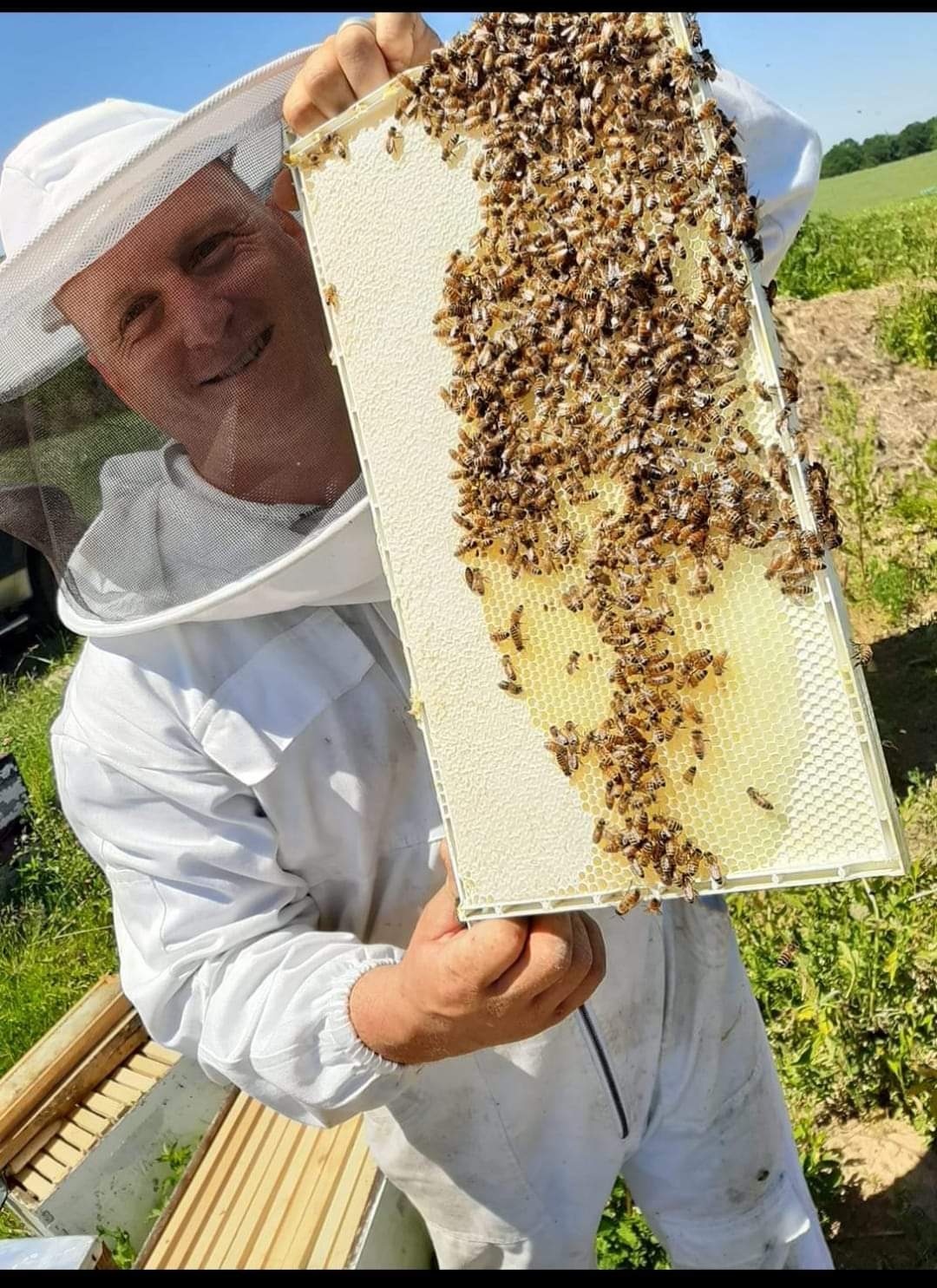 608 Honey Company - Image 1