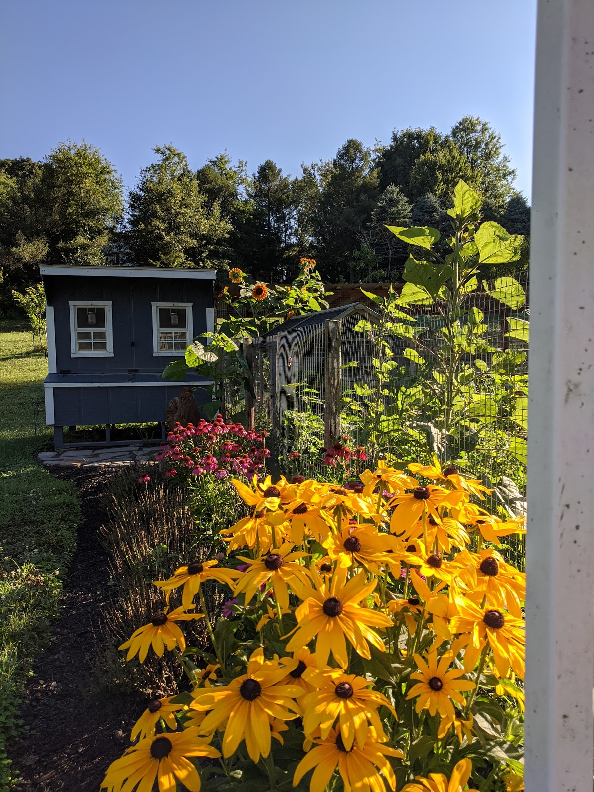 Hickory Homestead and Apiary - Image 1