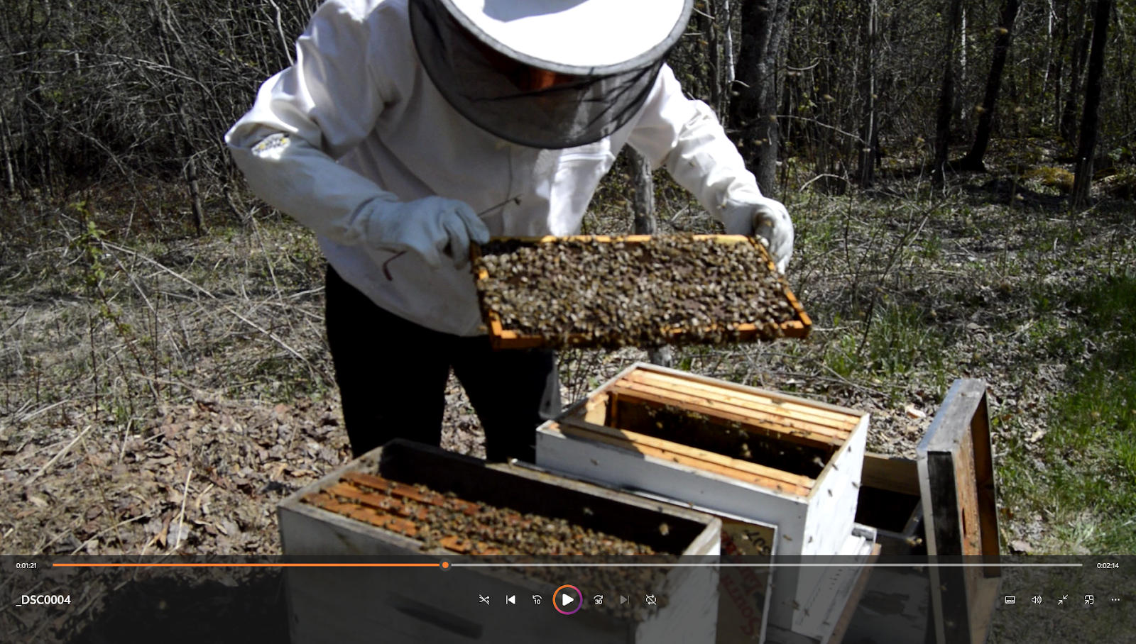 Hood Brook Apiary - Image 1
