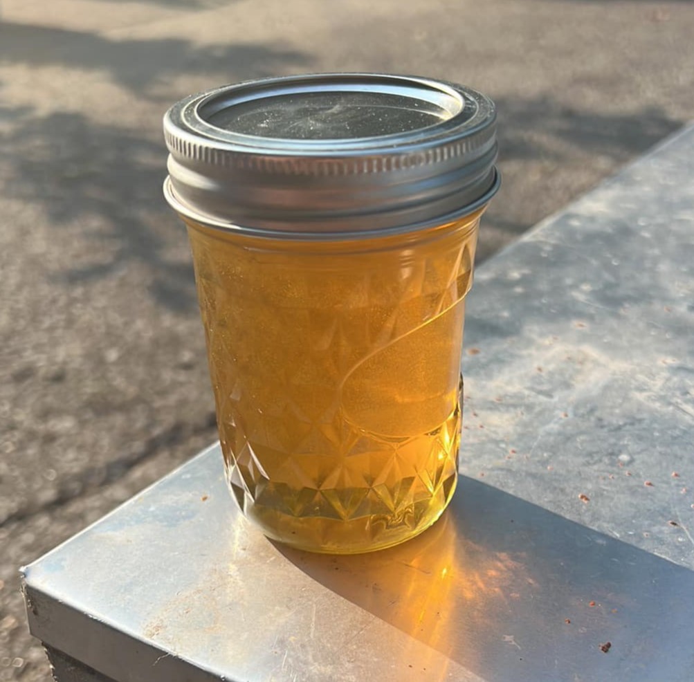 Jay's Bees - Image 1