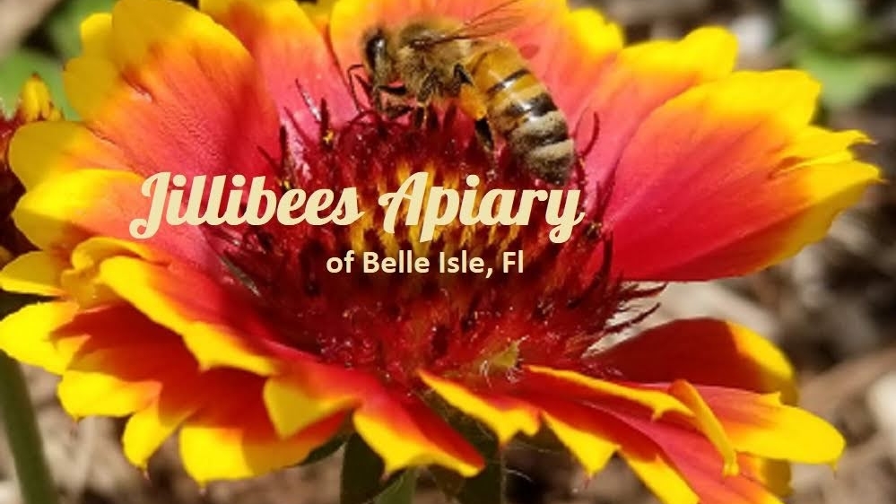 Jillibees Apiary - Image 1