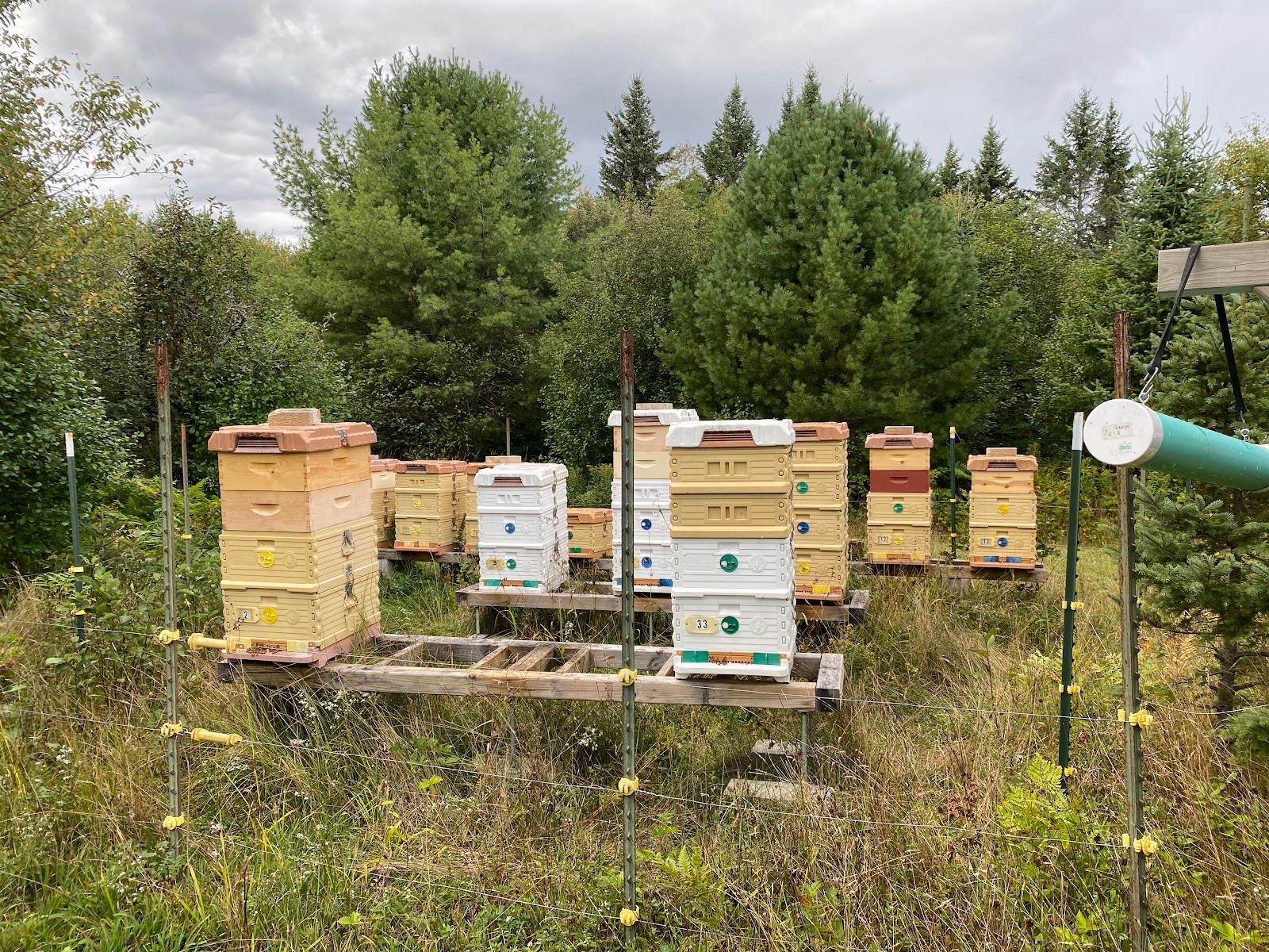 Keweenaw Bee Company - Image 1