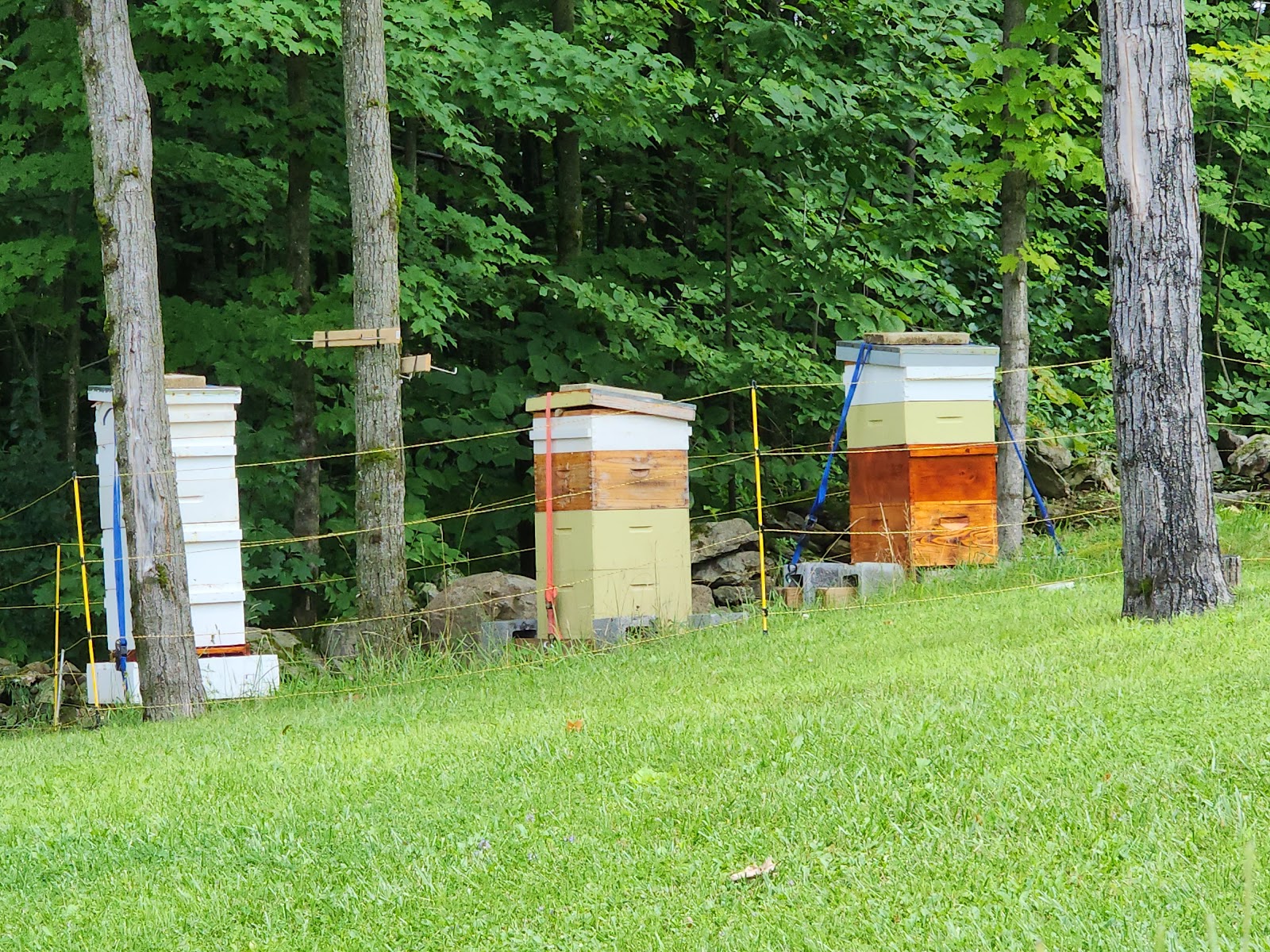 Lavallee Apiaries - Image 1