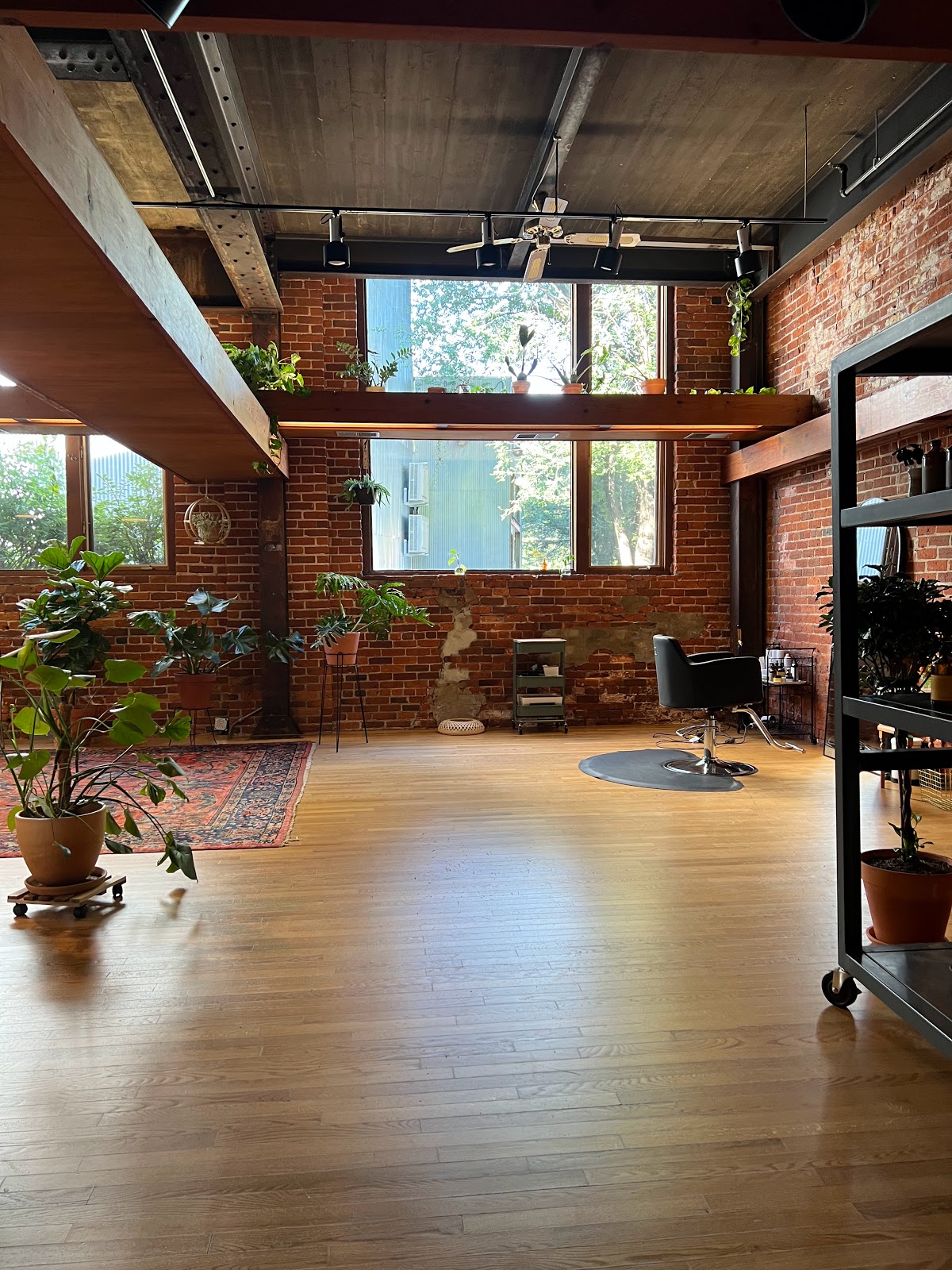 Apiary salon - Image 1