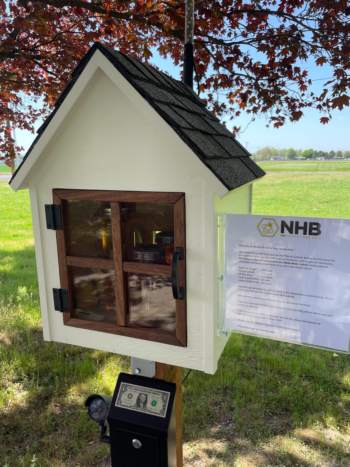 North Home Bees - Image 1