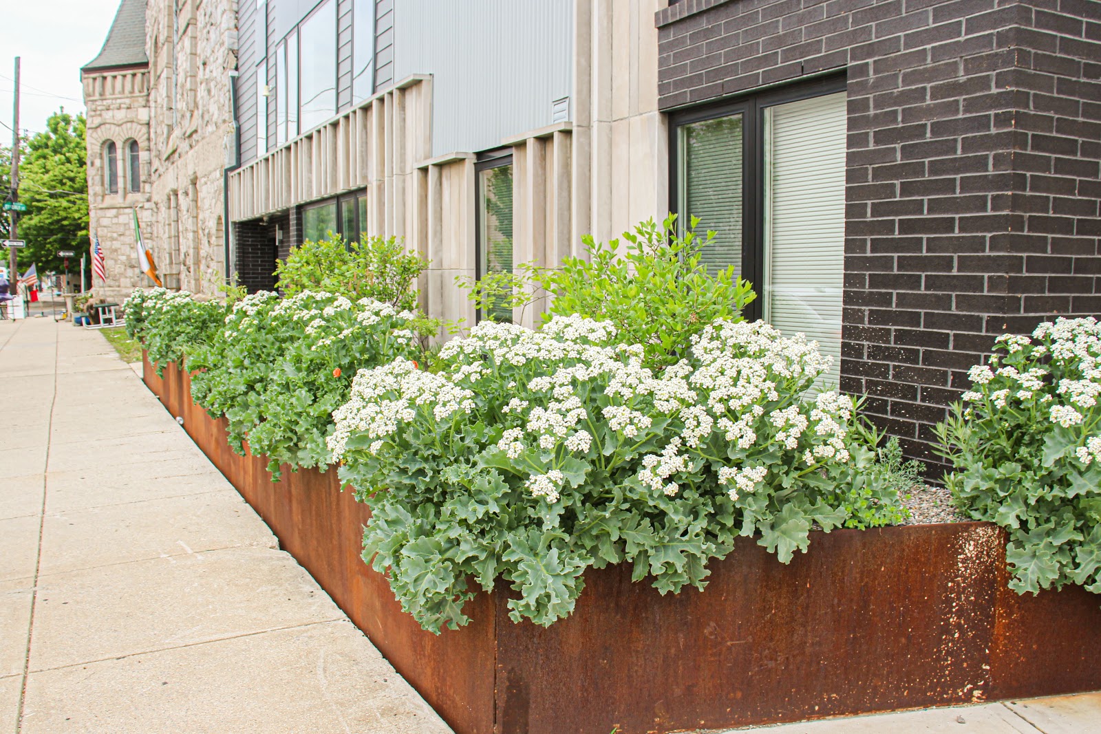 Apiary Studio - Image 1