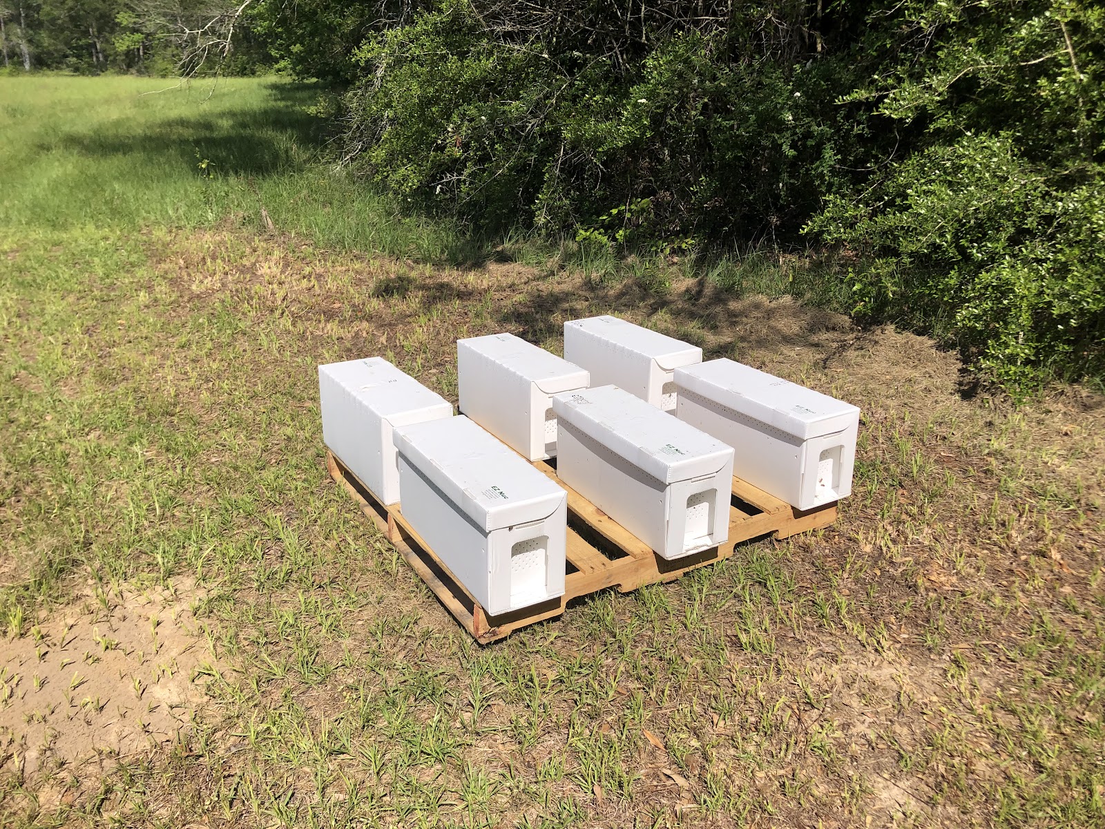 Oak Haven Bees - Image 1