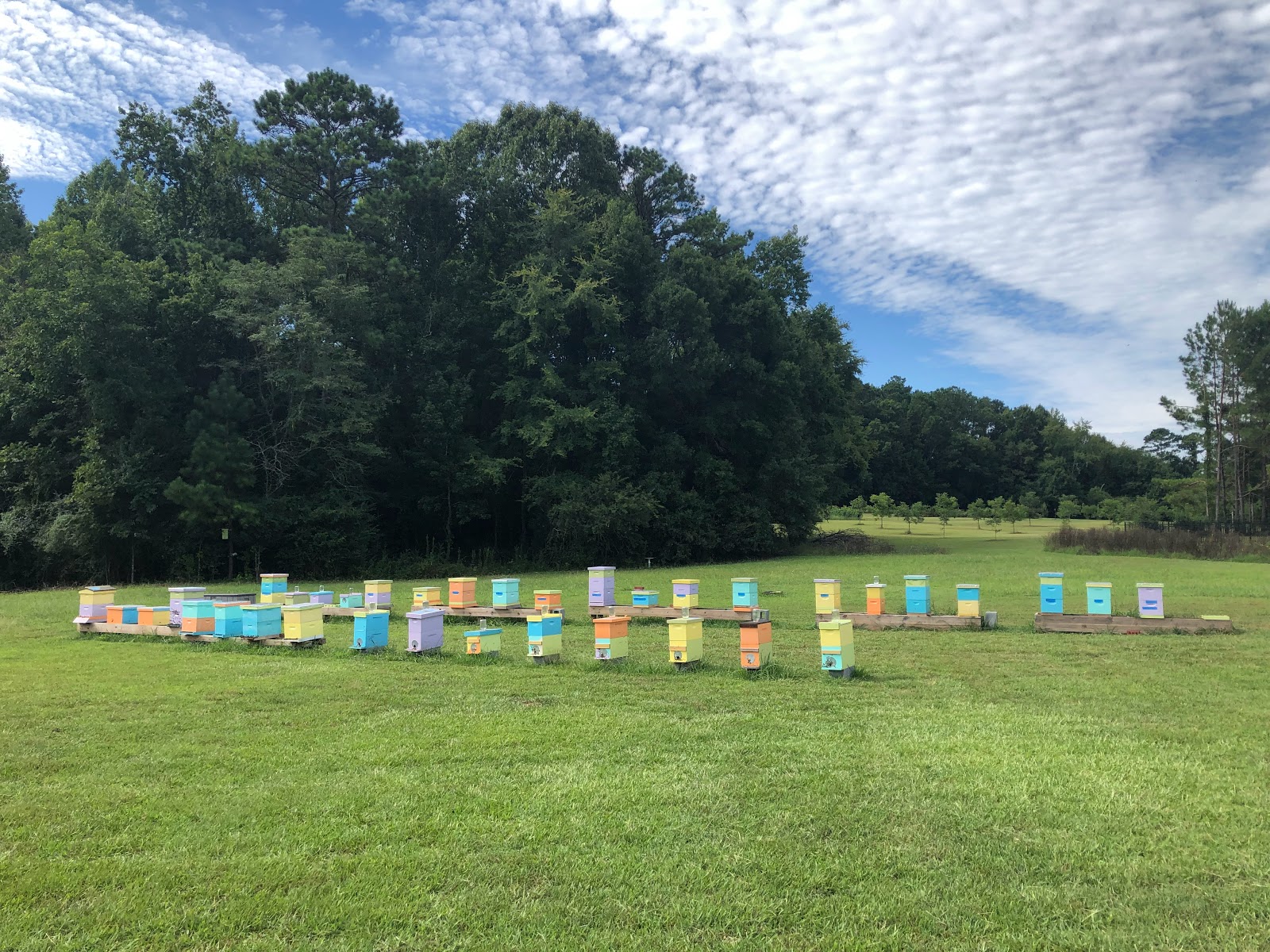 Pop Pop's Apiaries LLC - Image 1