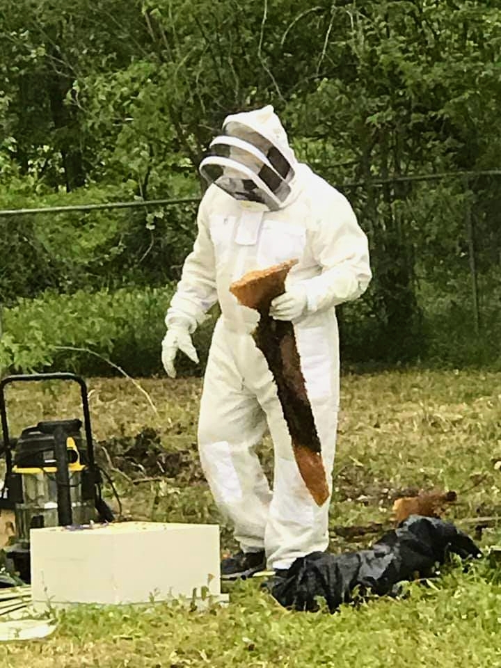 Queen B Apiaries - Image 1