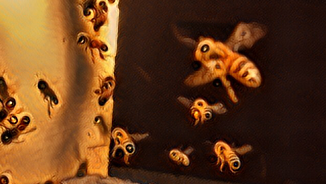 Raw Oregon Honey - Image 1