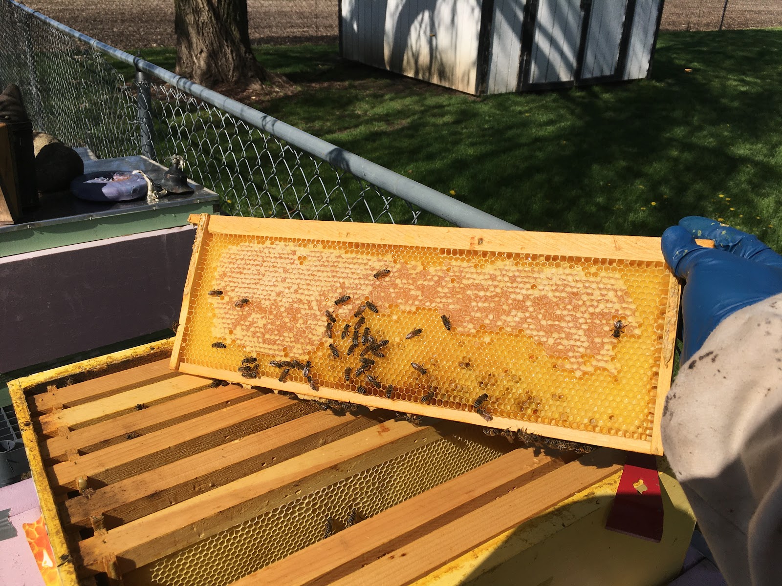 Riverview Road Apiary - Image 1