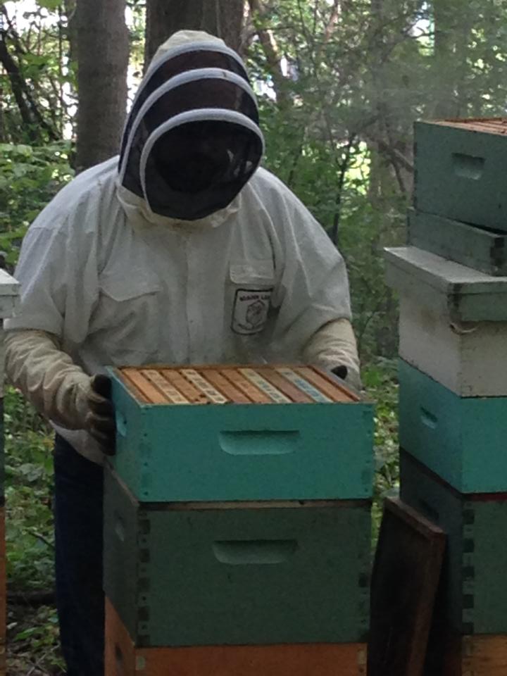 SixAcre Apiary - Image 1