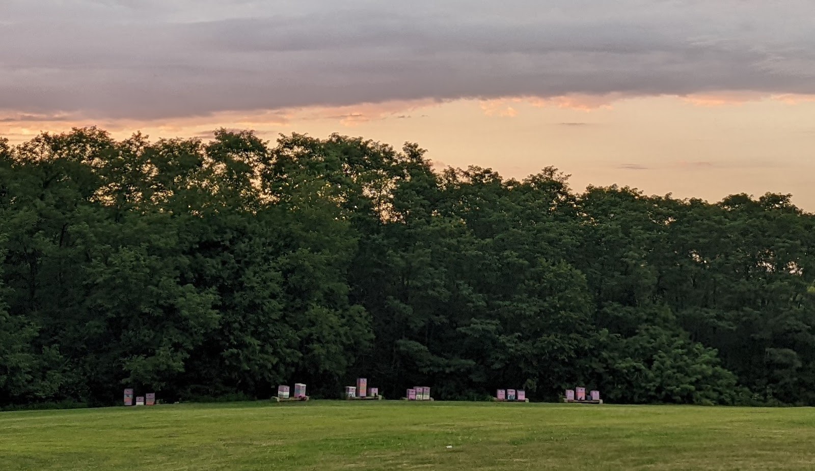 The Woods Apiary - Image 1