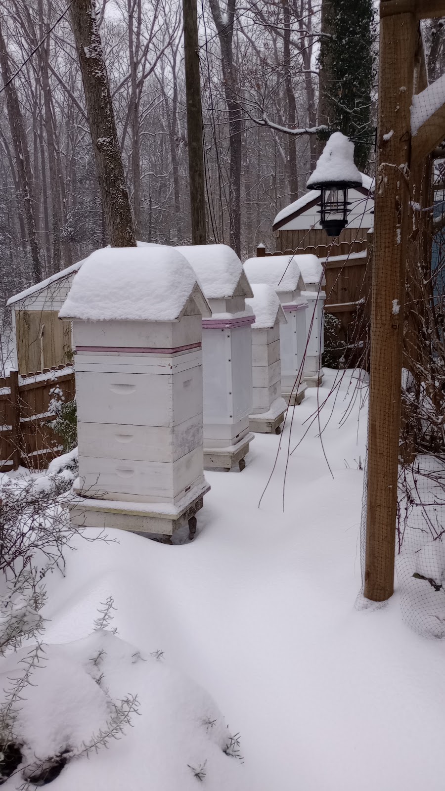 Waterside Cottage Garden and Apiary - Image 1
