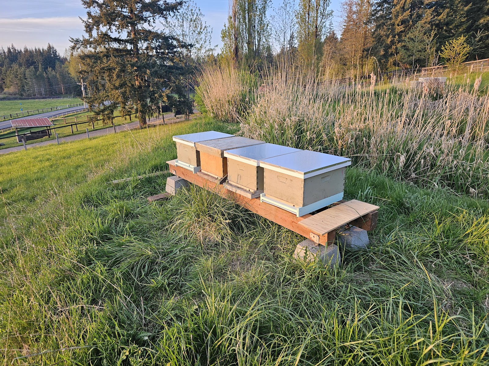 Woods Bee Co. - Image 1