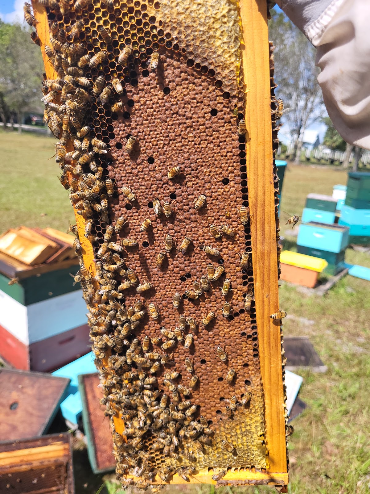 YME Apiary LLC - Image 1