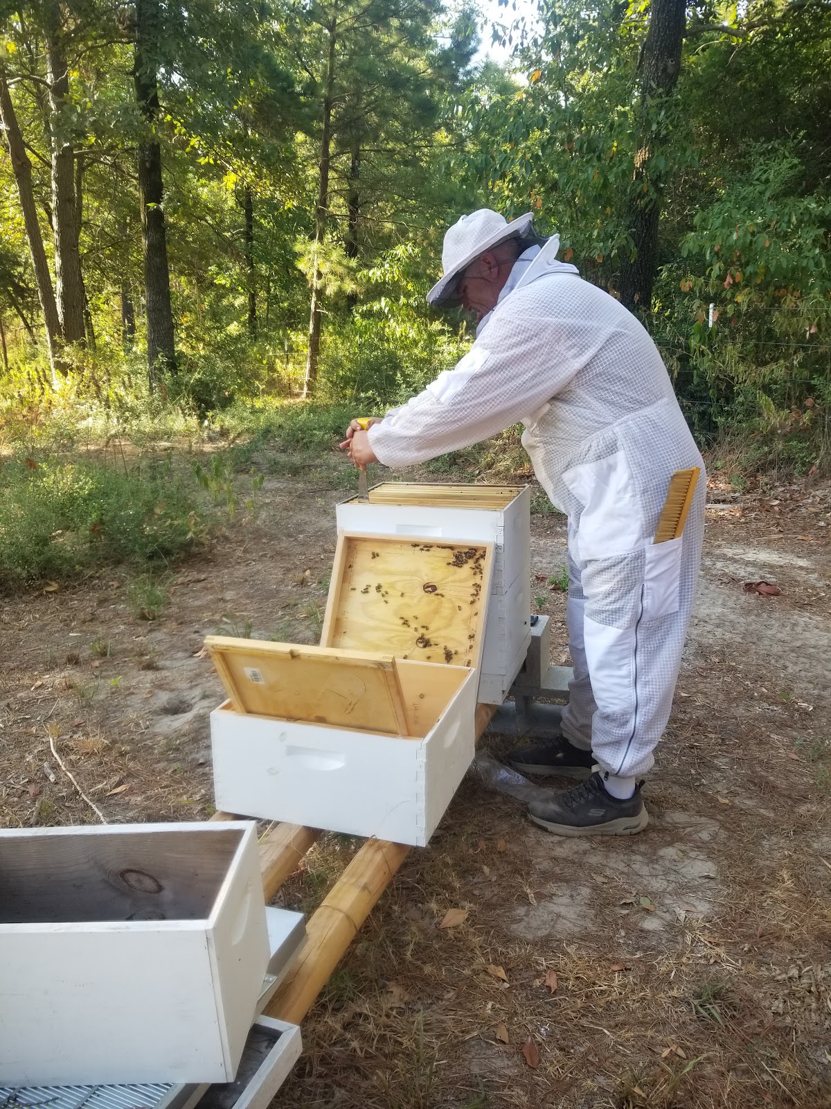Bee Chase Apiary - Image 1