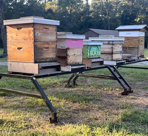 Bee Ez Apiary - Image 1